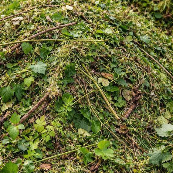 Зелёные отходы